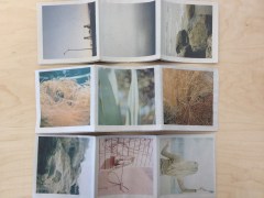 Francesca Tamse - The Unforseen Wilderness